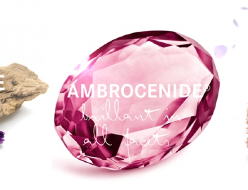 Duft-Visualisierung für Messestand + Powerpoint