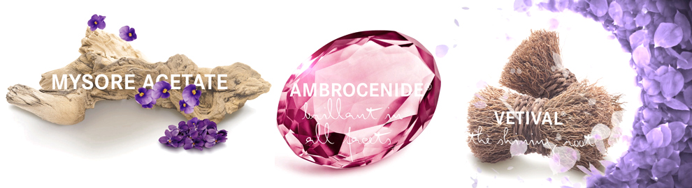 Messevideo Powerpoint Visualisierung